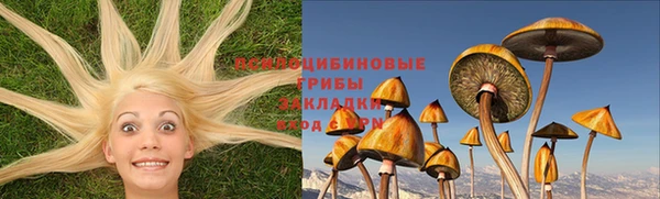 герыч Сатка