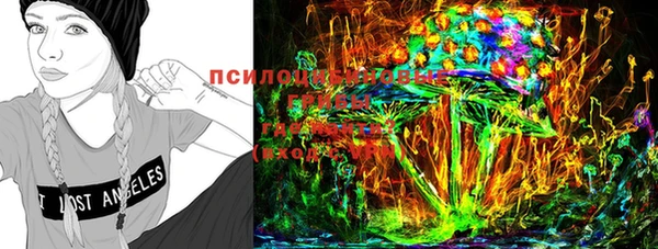 дживик Рославль