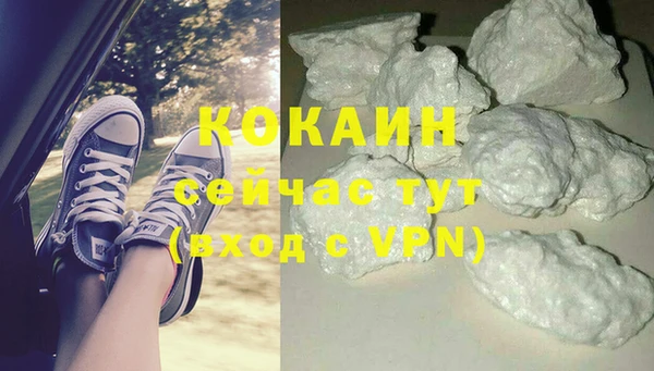дмт Россошь