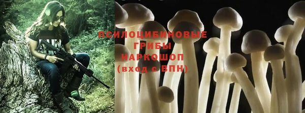 дмт Россошь